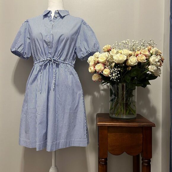 NWOT J.Crew Blue Striped Mini Dress - Picture 1 of 10